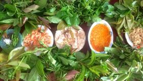 Dive into the traditional flavors of Buon Ma Thuot Travel