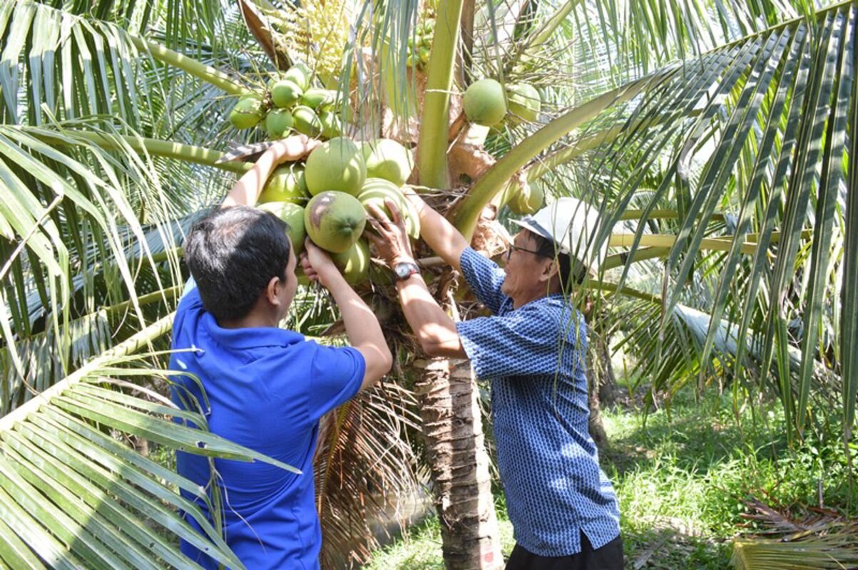 Experience Ben Tre Tours with sustainable adventures