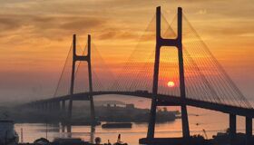 Explore the bridge on an eco-friendly cycling adventure
