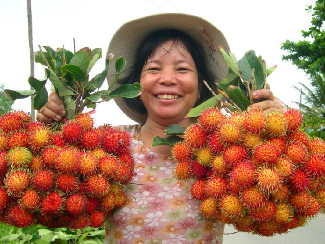 Experience Vinh Long Tours with sustainable adventures