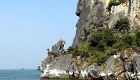 Dive into the serene charm of Halong Bay Travel