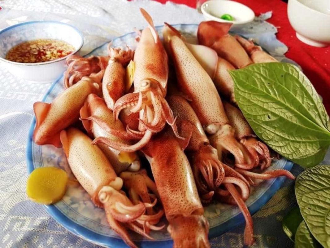 Vung Ang Squid - "Mực nhảy Vũng Áng"