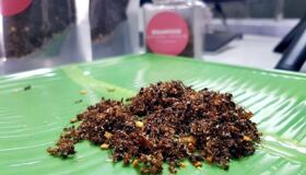 Dive into the cultural flavors of Buon Ma Thuot Travel