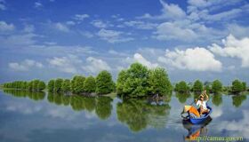 Dive into the adventurous charm of Ca Mau Travel