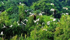 Dive into the serene charm of Ca Mau Travel