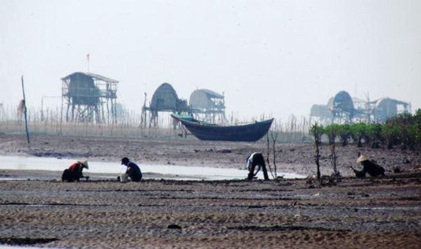 Learn Nam Dinh’s ecological heritage with expert insights