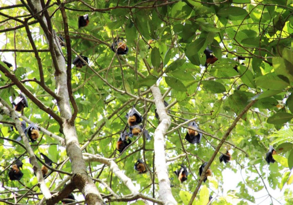Begin your Soc Trang Tours with a scenic adventure