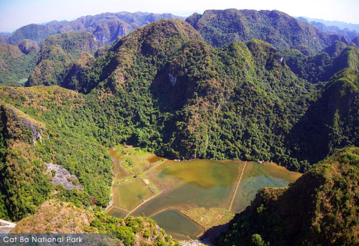Embrace the vibrant spirit of Cat Ba Travel adventures