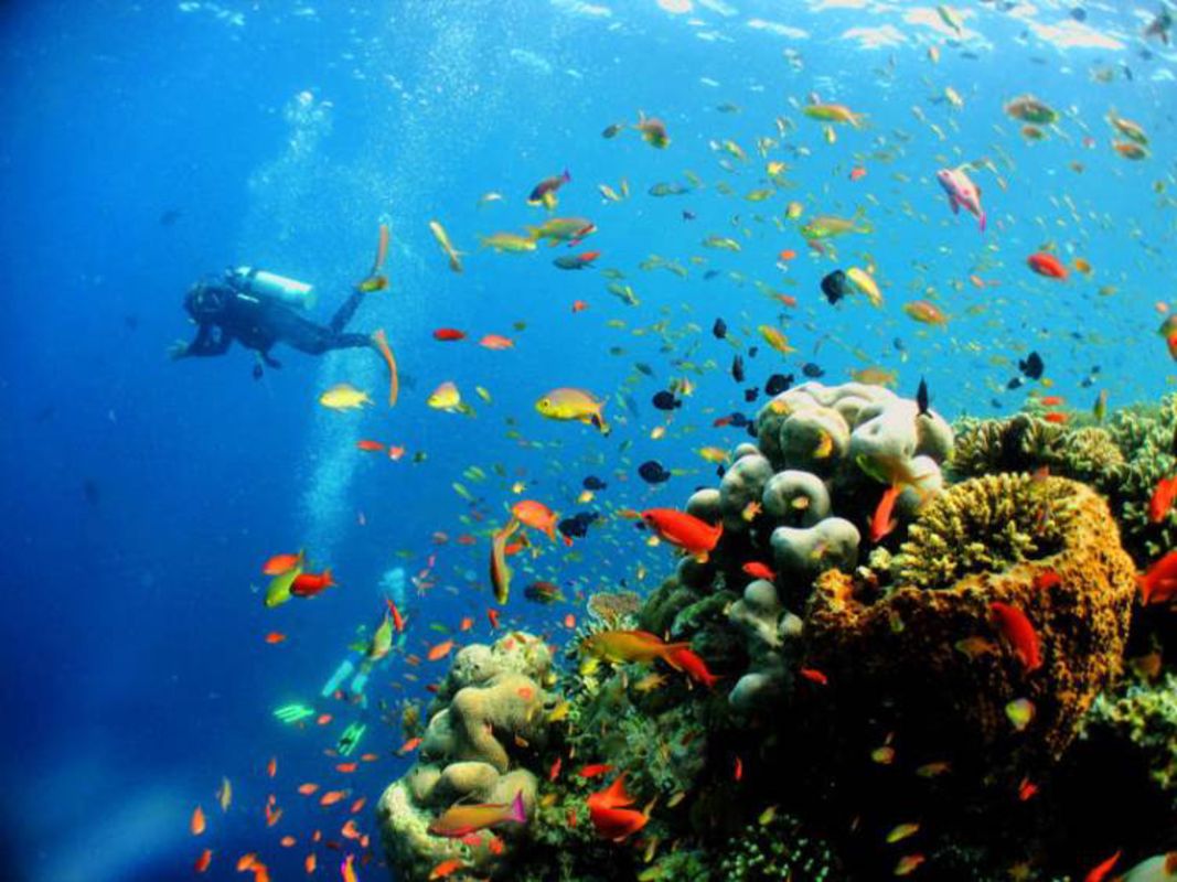 Learn Khanh Hoa’s coastal legacy with expert insights