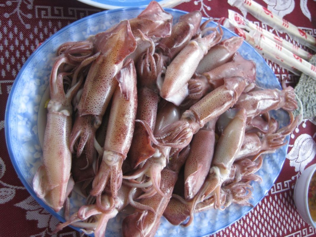 Learn Ha Tinh’s coastal heritage with expert insights