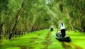 Capture the serene beauty of Hau Giang’s ecological gem