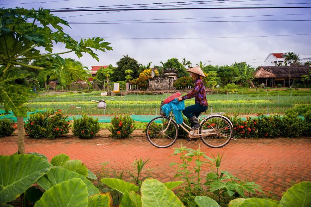 Experience Hoi An Tours with sustainable adventures