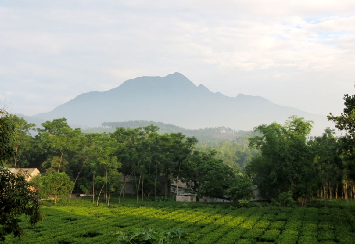 Photograph the natural allure of Hanoi’s eco-gem