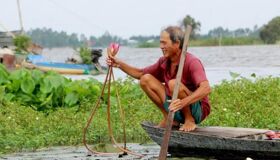 Dive into the vibrant charm of Dong Thap Travel