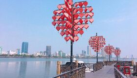 Capture the romantic beauty of Da Nang’s iconic gem