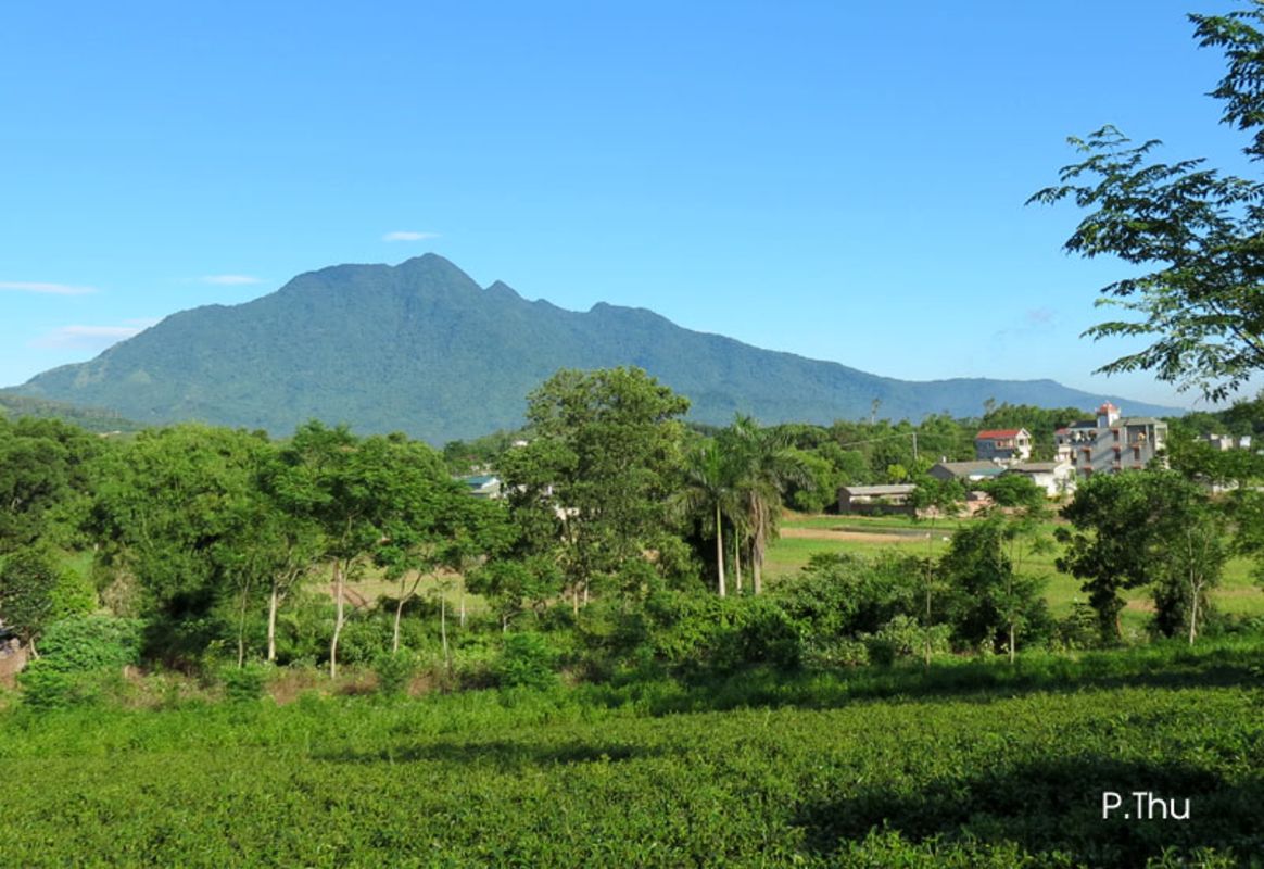 Learn Hanoi’s natural heritage with expert insights