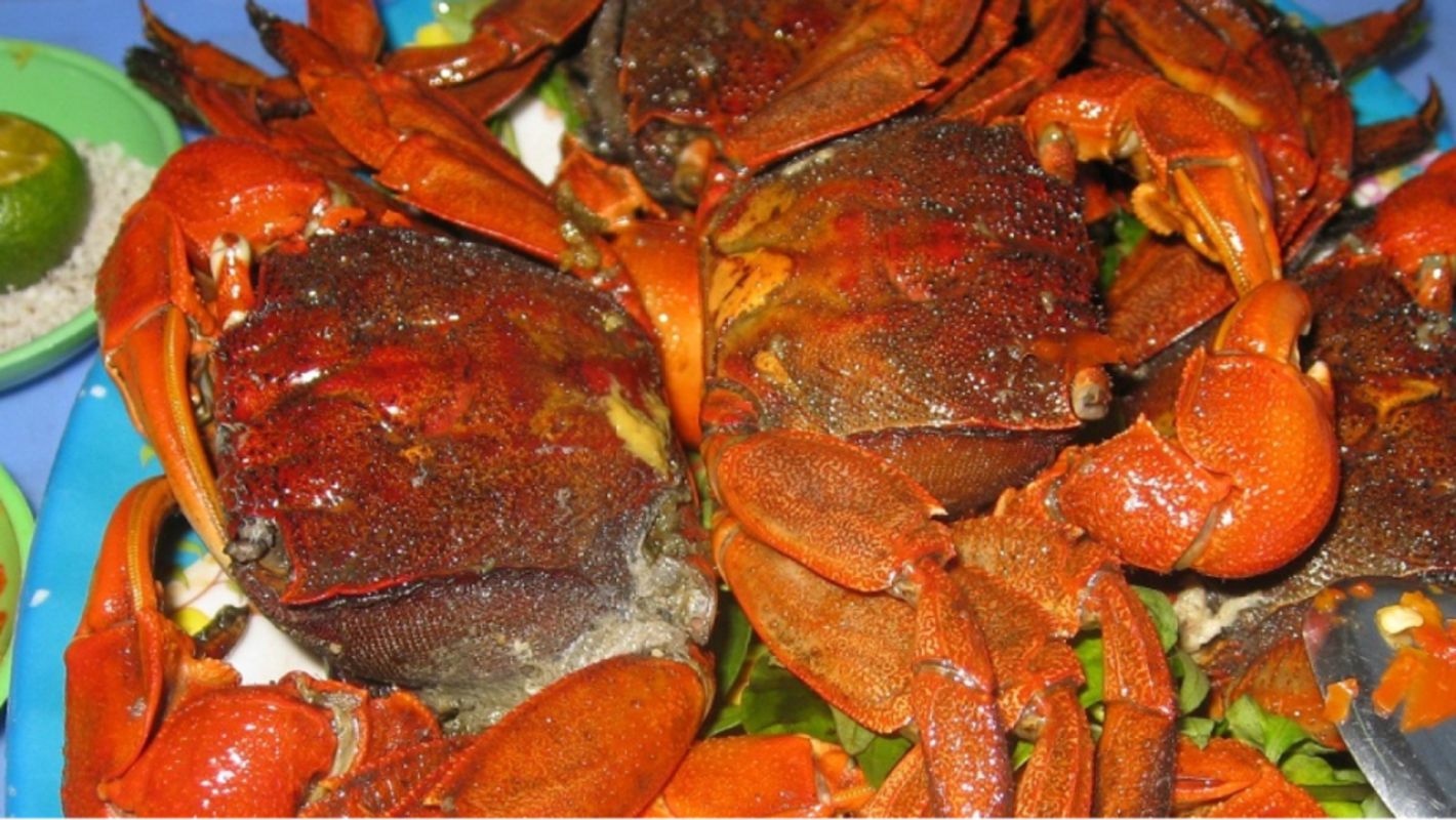 Photograph the vibrant allure of Ca Mau’s cuisine