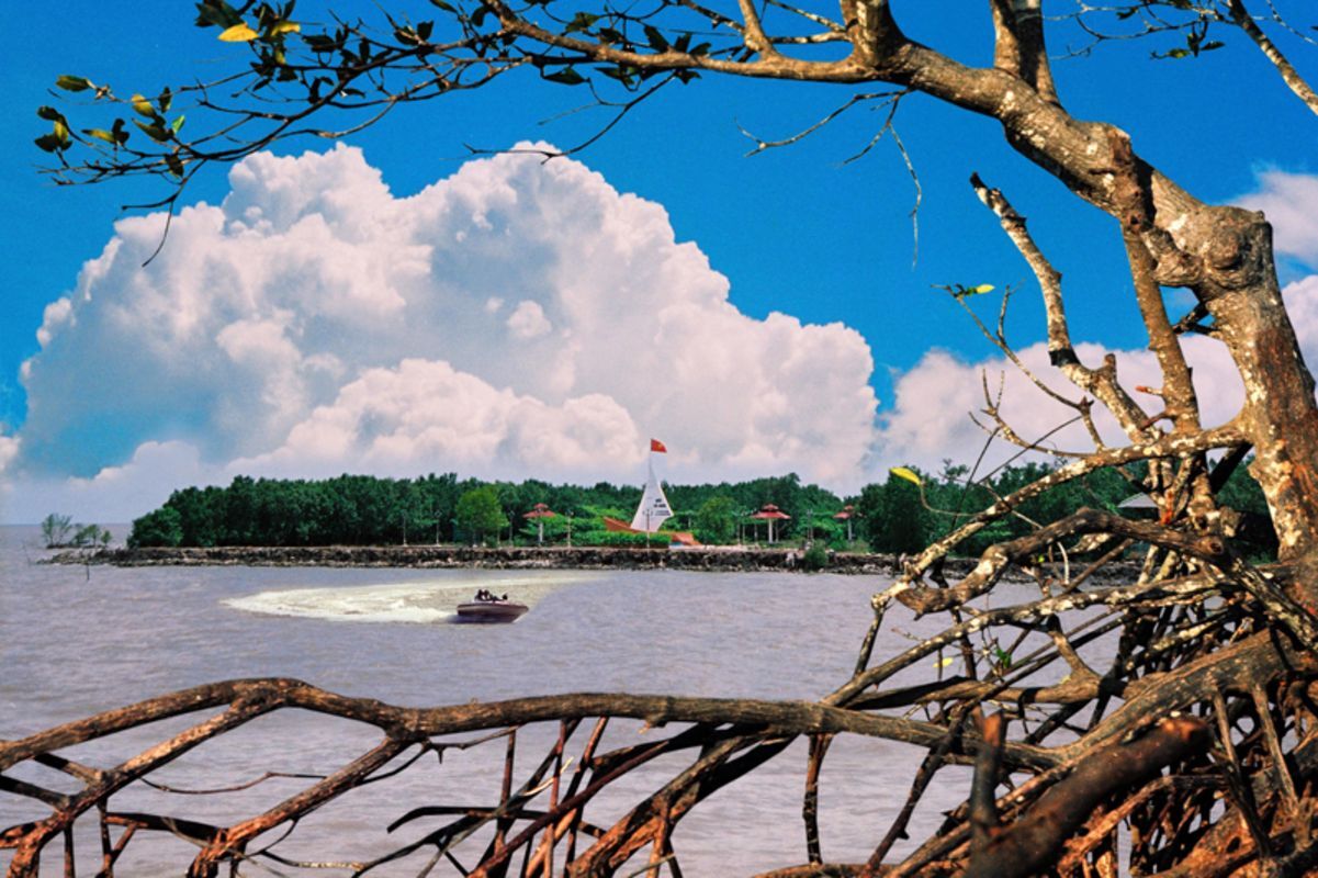 Capture the vibrant beauty of Ca Mau’s eco-gem