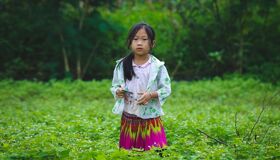 Begin your Tuyen Quang Tours with a cultural adventure