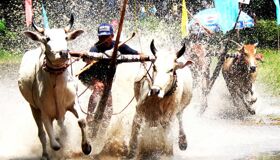 Dive into the spiritual charm of An Giang Travel