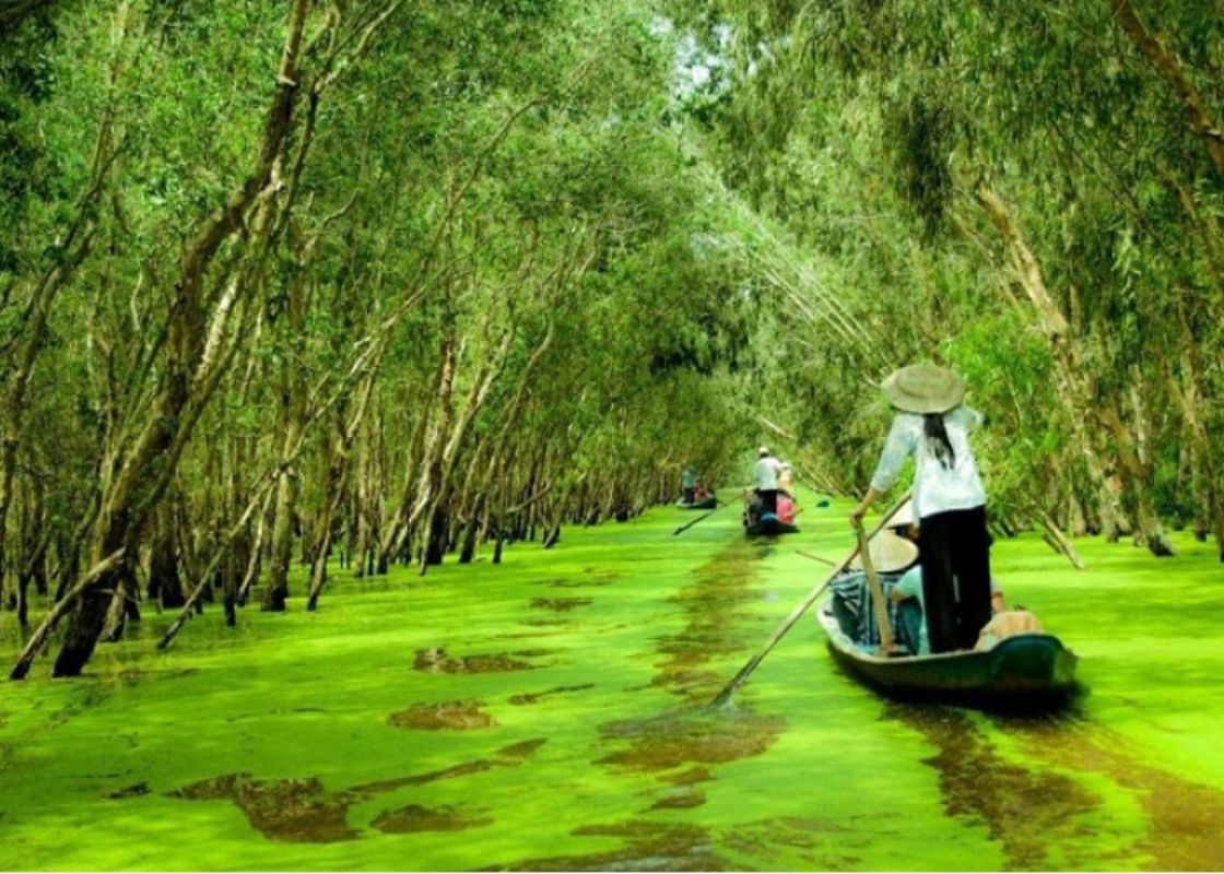 Capture the sustainable charm of Dong Thap’s ecotourism