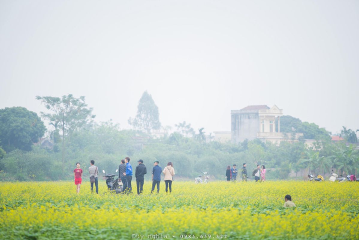 Capture the verdant beauty of Thai Binh’s rural gem