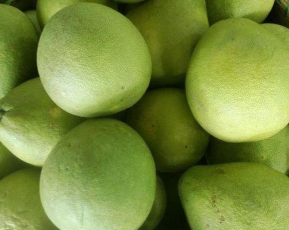 Phu Huu Pomelos - "Bưởi Năm Roi Phú Hữu"