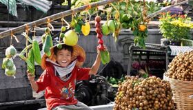 Dive into the verdant charm of Vinh Long Travel