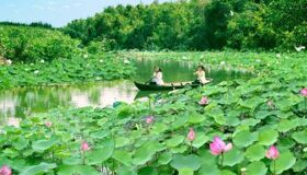 Capture the lush beauty of Long An’s eco-tourism gem