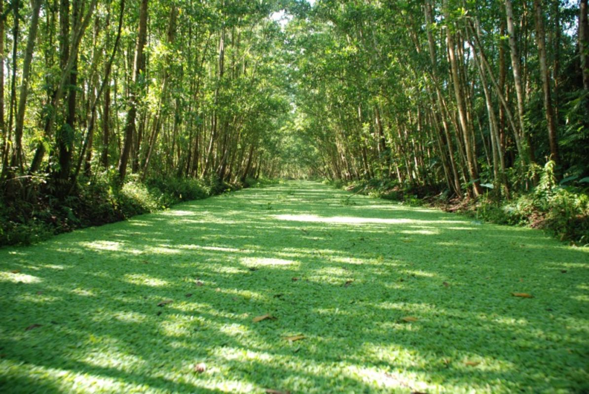 Experience Hau Giang Tours with sustainable adventures