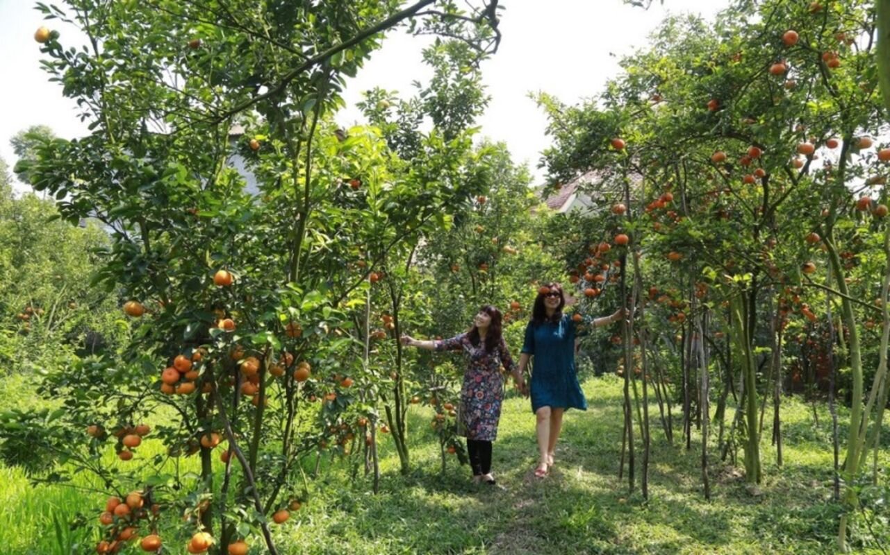 Start your Dong Thap Travel with serene vistas