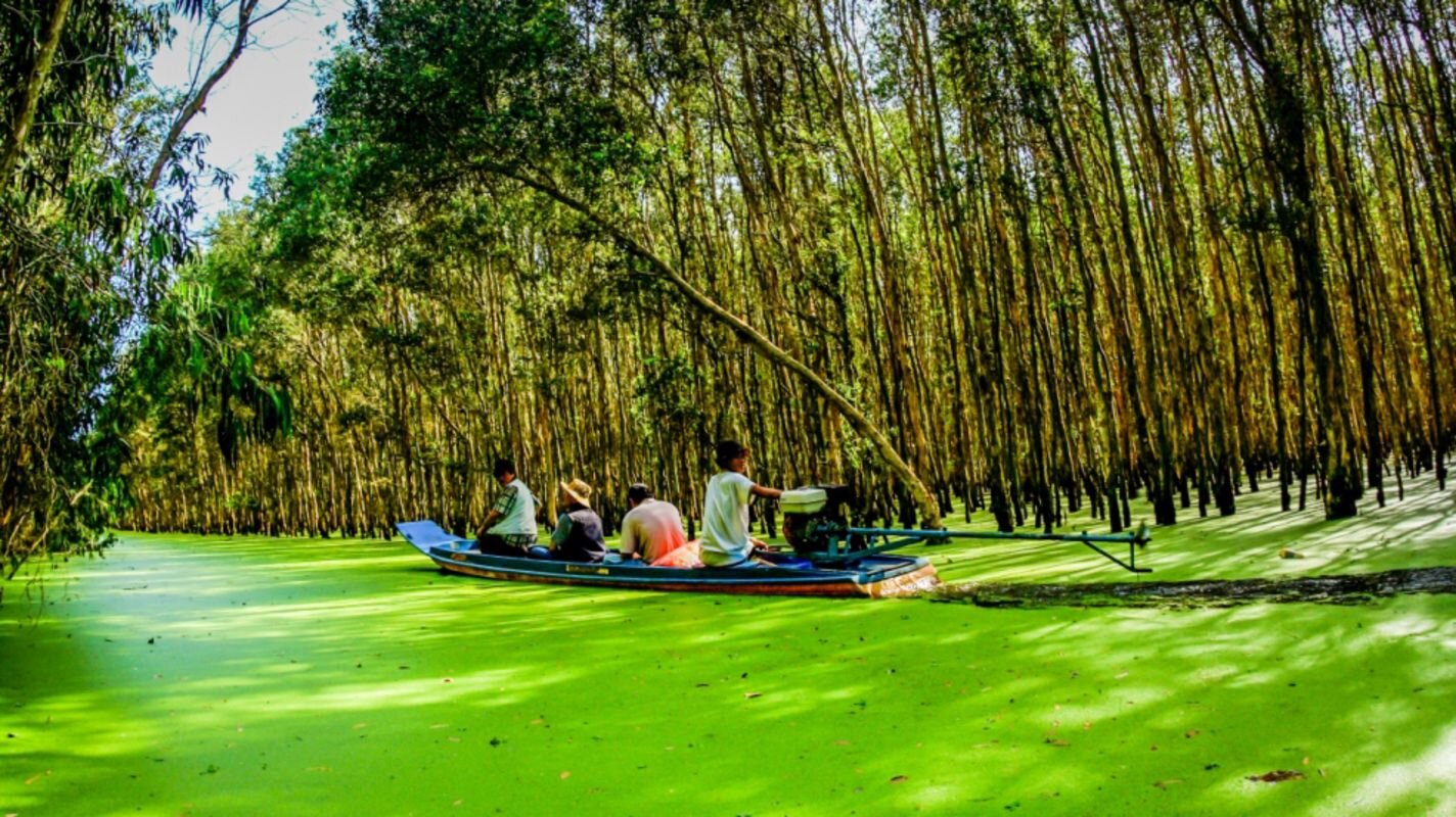 Photograph the biodiverse allure of An Giang’s nature