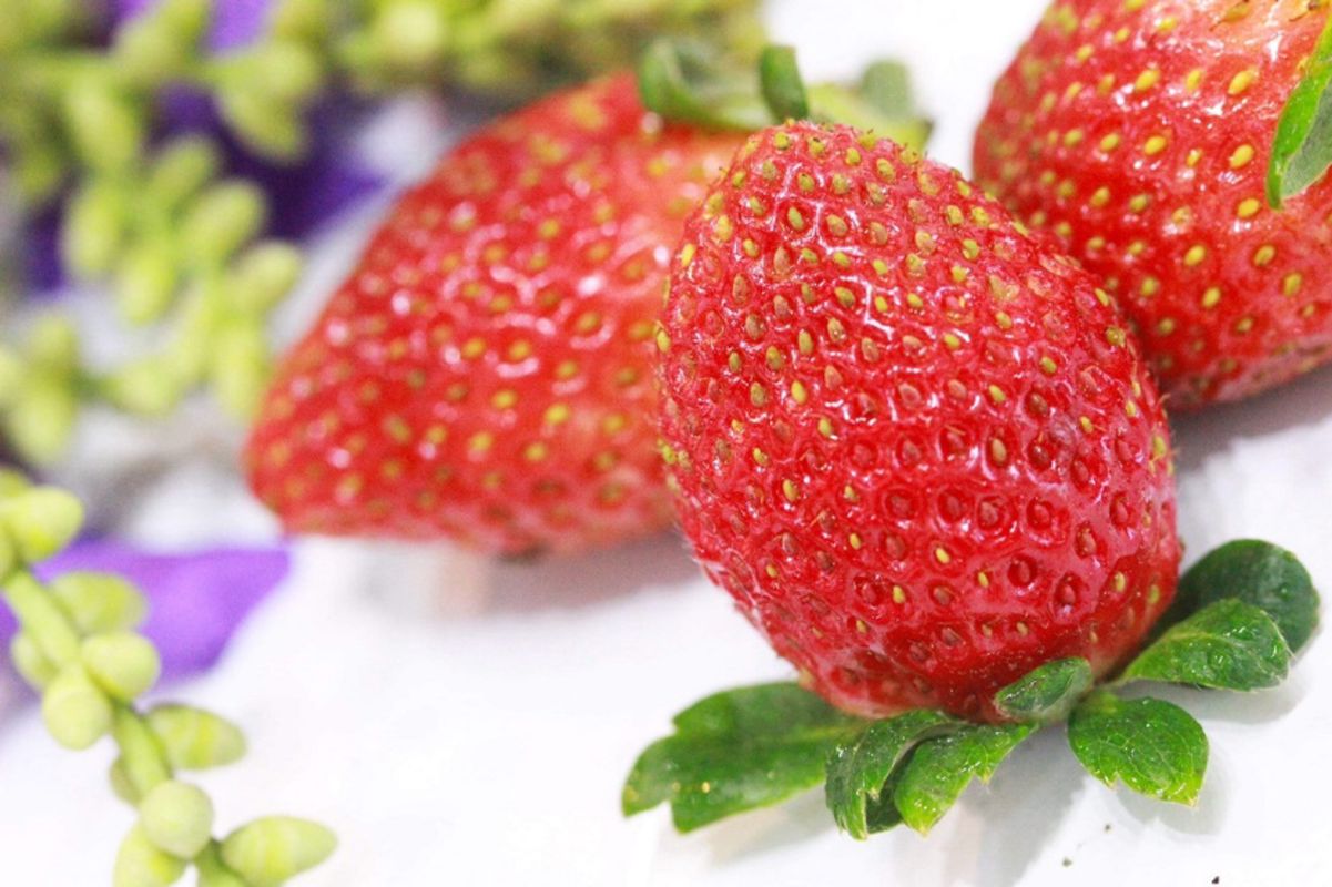 Capture the vibrant beauty of Da Lat’s agricultural gem