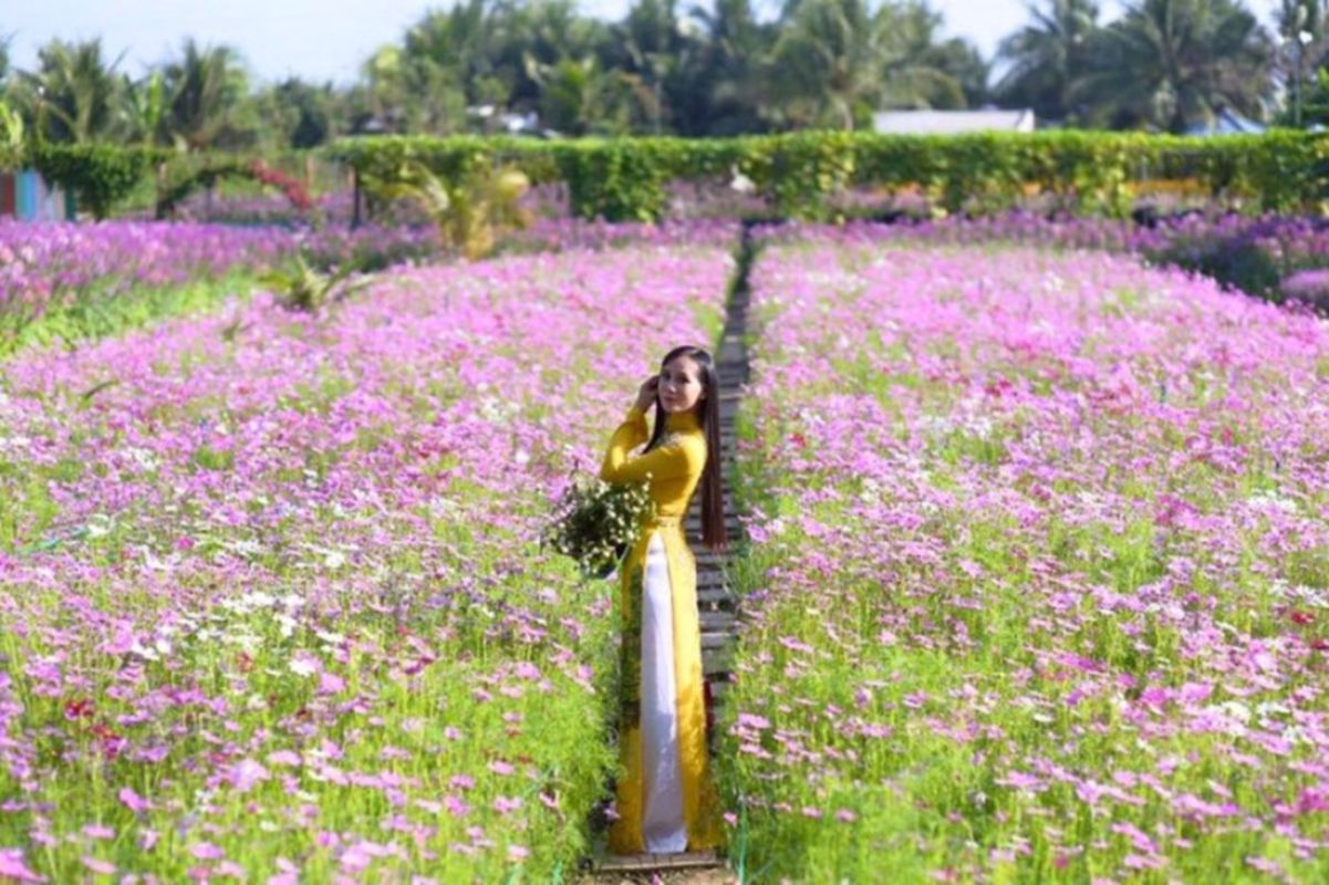 Begin your Tien Giang Tours with a scenic adventure