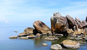Dive into the natural charm of Ca Mau Travel