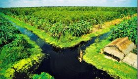 Photograph the cultural allure of Ca Mau Travel’s heritage