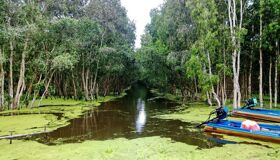Dive into the natural charm of An Giang Travel