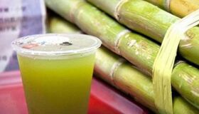 Dive into the refreshing charm of Hanoi Travel