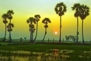 Best Time to Visit An Giang: Chau Doc Travel Guide & Sustainable Tours