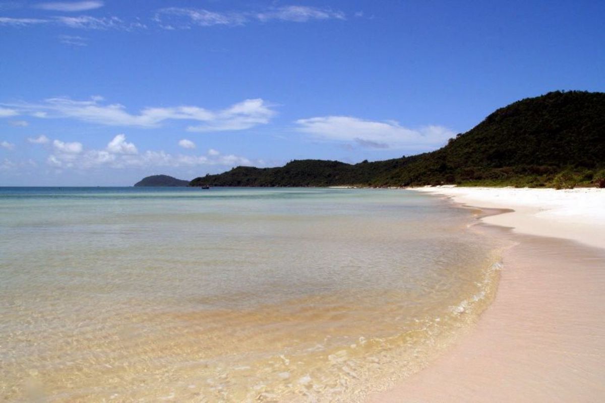 Capture the pristine beauty of Ca Mau’s coastal paradise