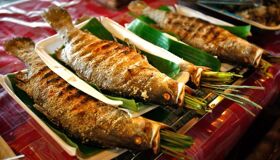 Dive into the authentic flavors of Phu Tho Travel