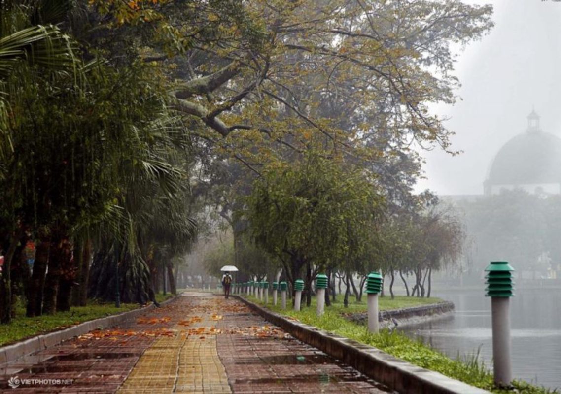 Photograph the vibrant allure of Ninh Binh’s natural beauty