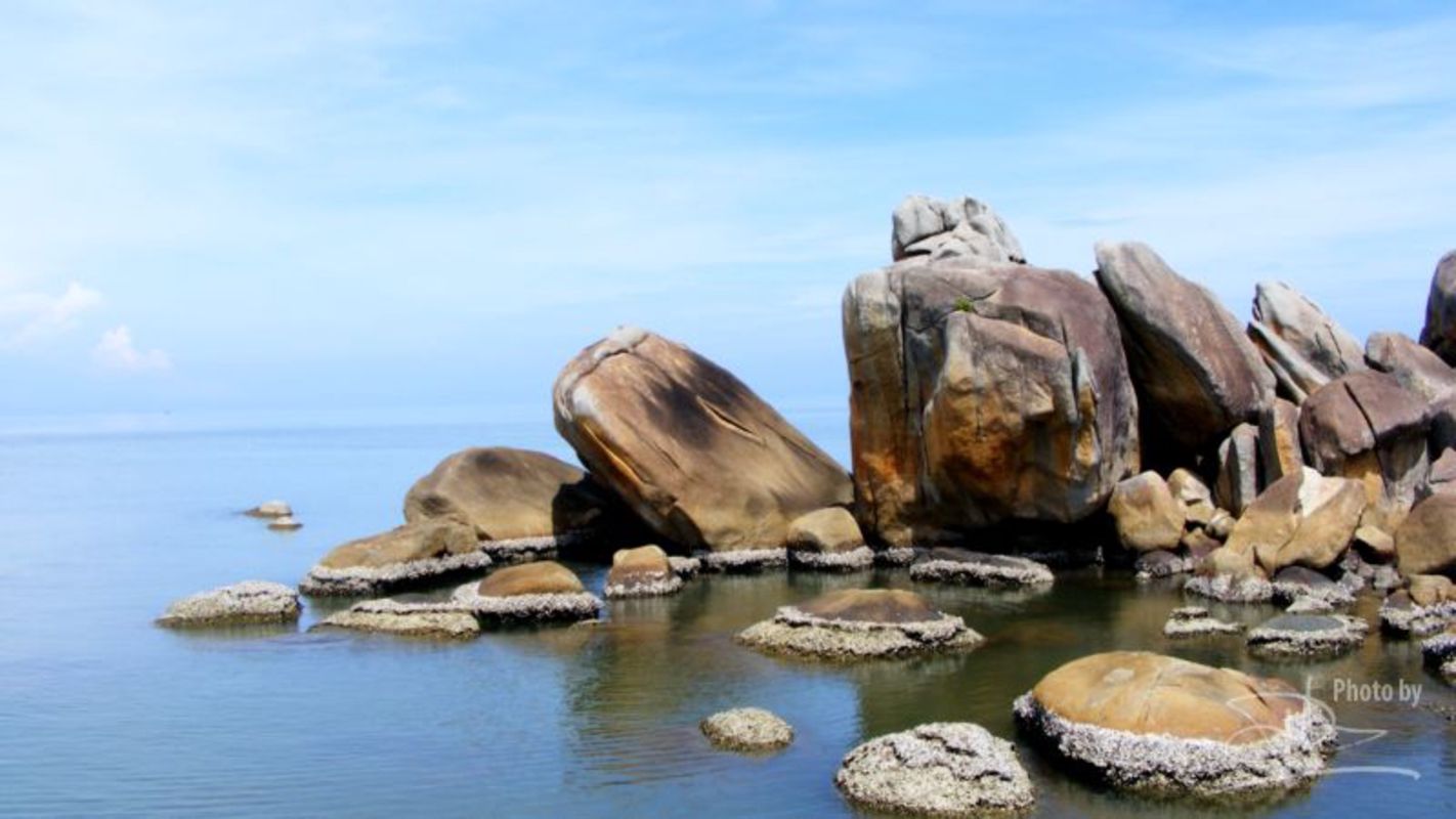 Capture the underwater beauty of Ca Mau’s island gem