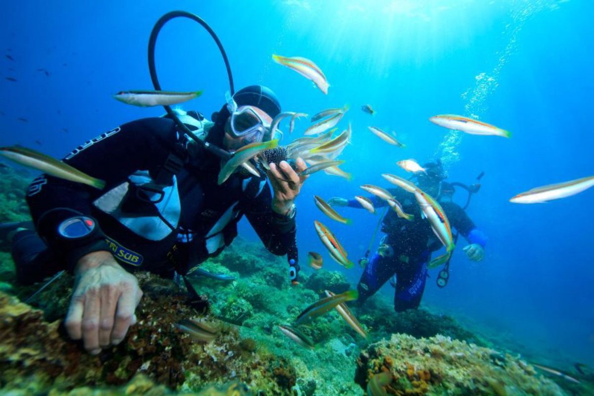 Experience Phu Quoc Tours with sustainable adventures
