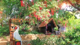 Dive into the cultural charm of Dak Lak Travel