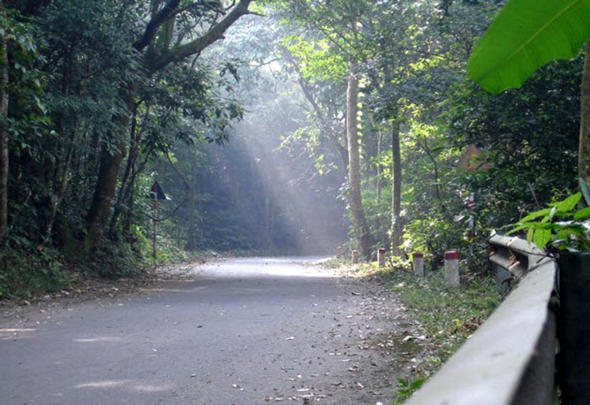 Ba Vi National Park