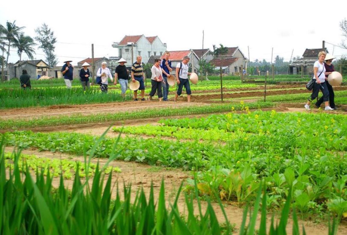 Experience Da Nang Tours with sustainable adventures