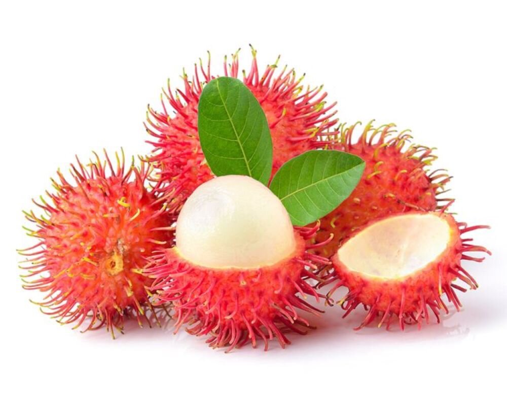 Capture the sweet allure of Vinh Long’s fruit gem