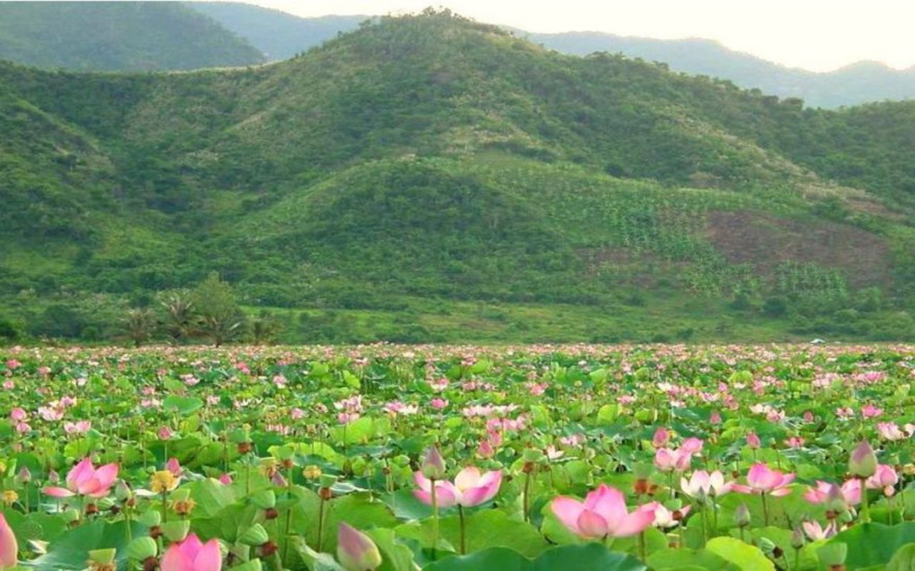 Start your Long An Travel with tranquil vistas