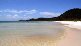 Dive into the eco-adventures of Ca Mau Travel